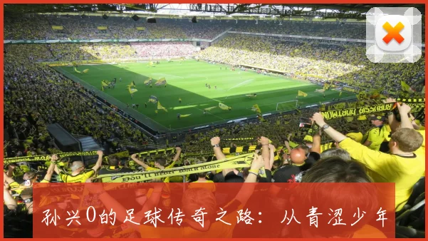 孙兴O的足球传奇之路：从青涩少年到世界巨星的成长历程与成就解析