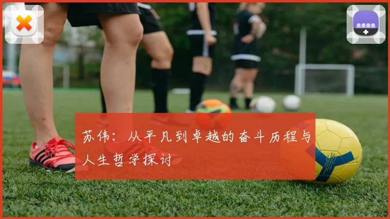 苏伟：从平凡到卓越的奋斗历程与人生哲学探讨